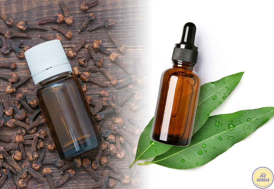 Clove and Eucalyptus oil