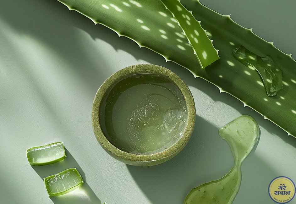 Aloe Vera